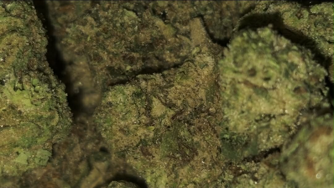 Mendo Breath - Image 2