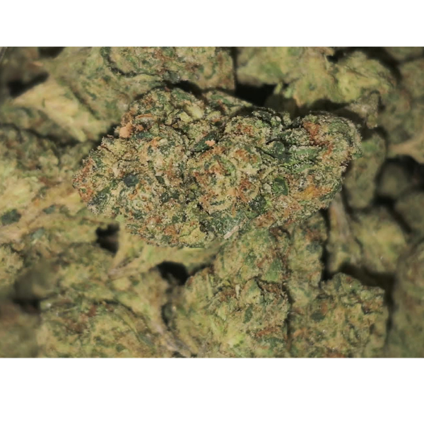 Kosher Kush - Image 2