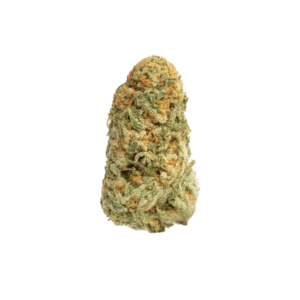Papaya Punch