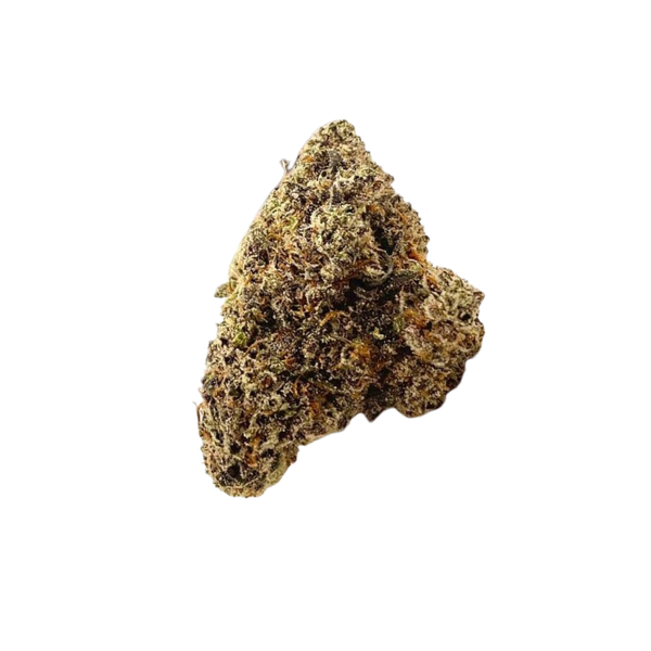 Gelato Blizzard - Micros
