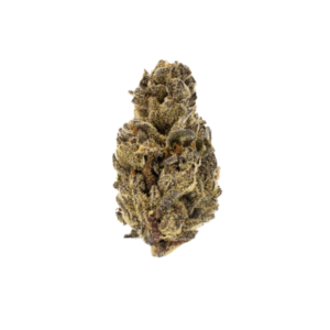 Gelato