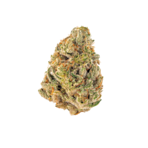 Sugar Tarts Shake | Hybrid