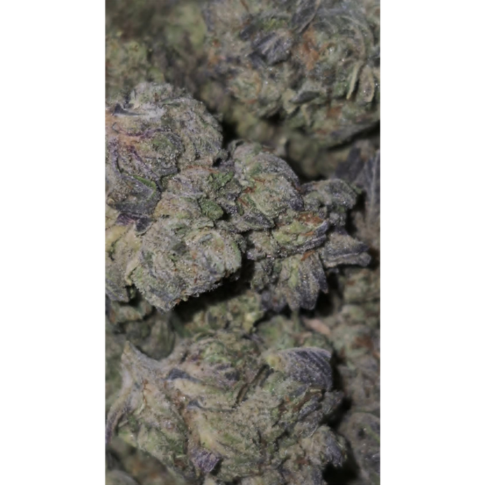 Monster Cookies - Image 2