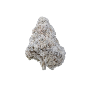 Snowcap