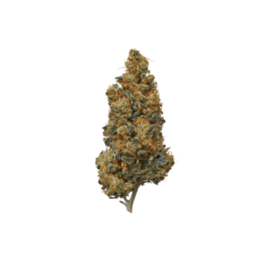 Grapefruit