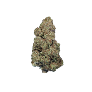 Mimosa