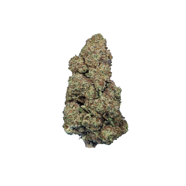 Mimosa