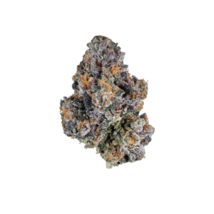 Gelato 41 | Hybrid