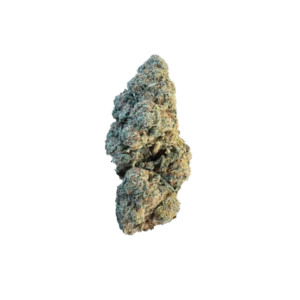 Sundae Driver | Hybrid