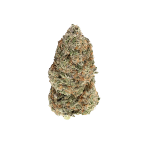Motorhead | 70% Indica