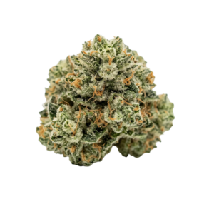 Garfuel | Hybrid